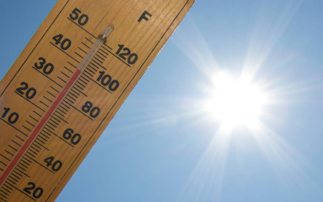 Photograph of temperature gauge under hot summer sun